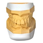 Gips III kl. biały artykulacyjny SHERAARTI  20kg