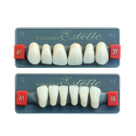 Zęby Wiedent Estetic przednie 6szt