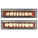 Zęby Ivoclar Gnathostar boczne 8szt