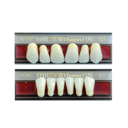 Zęby Mifam Super Lux przednie 6szt