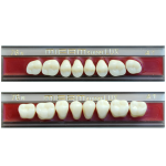 Zęby Mifam Super Lux boczne 8szt