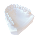 Gips III kl. biały Ortho Stodent  6kg