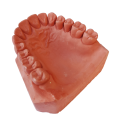 Gips IV kl. ceglasty Stodent Base na podstawy 25kg