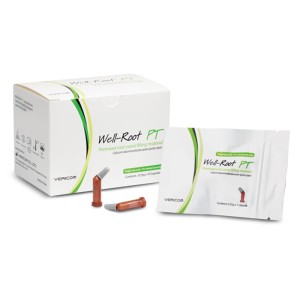 Well-Root PT gotowa pasta do wyp. kanałów 10x0,25g